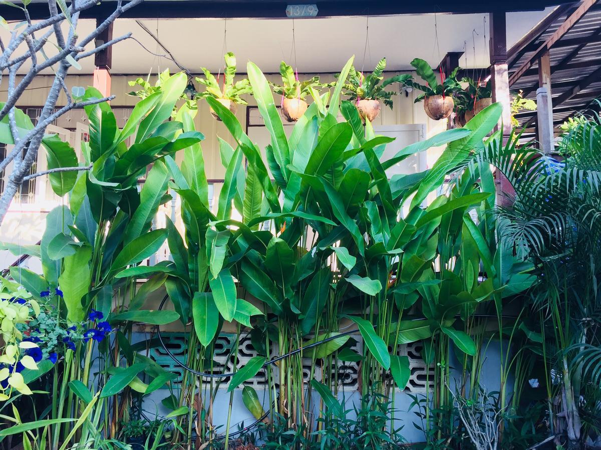 Goodmorning By Tamarind Hostel Phra Nakhon Si Ayutthaya Exterior photo